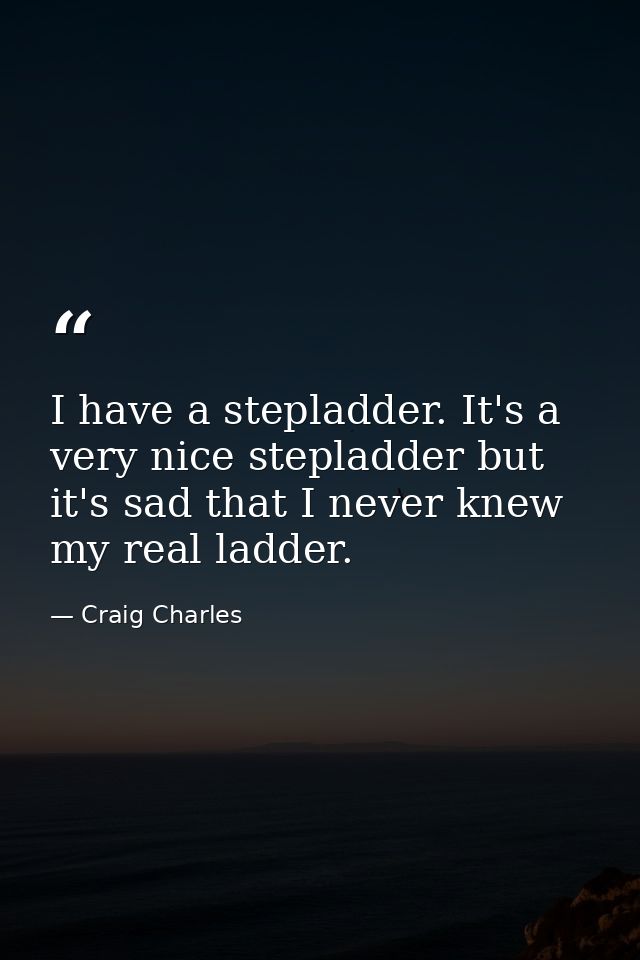 I have a stepladder. It's a very nice stepladder but it's sad that I never knew my real ladder. — Craig Charles