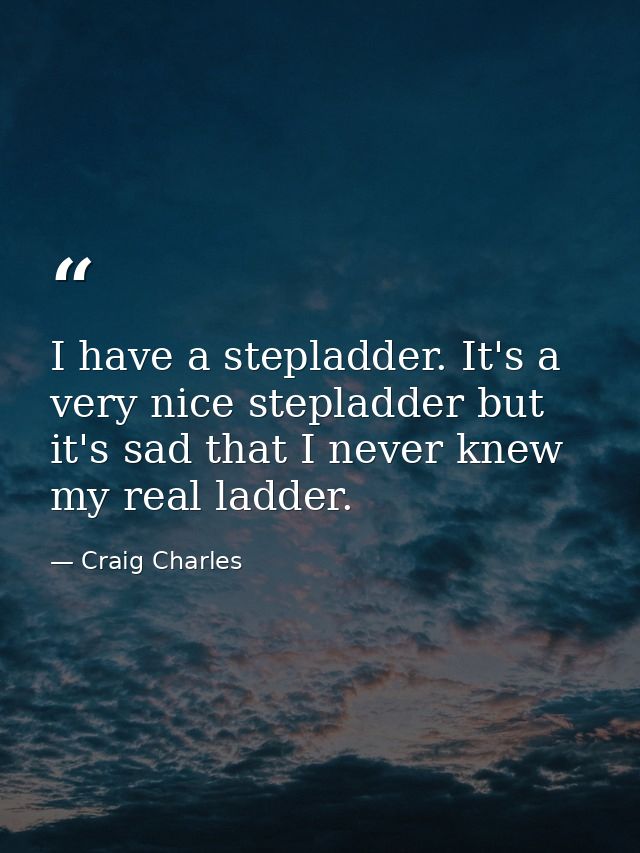 I have a stepladder. It's a very nice stepladder but it's sad that I never knew my real ladder. — Craig Charles