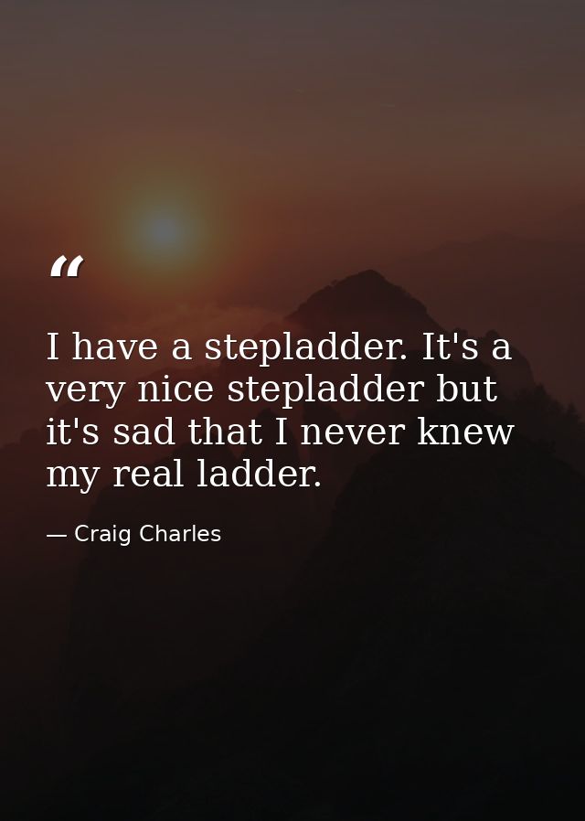 I have a stepladder. It's a very nice stepladder but it's sad that I never knew my real ladder. — Craig Charles