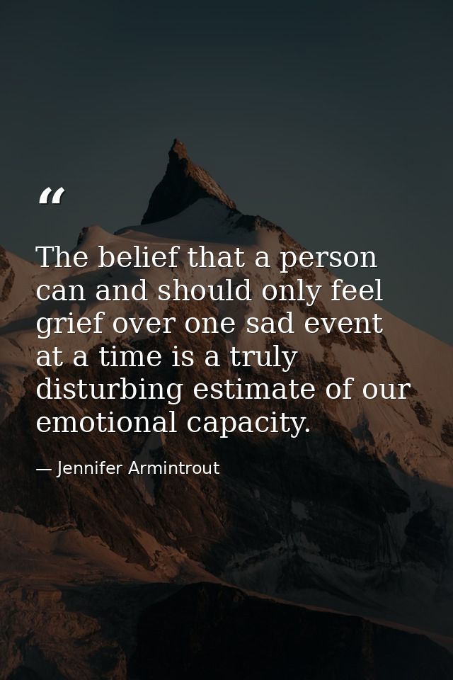 The belief that a person can and should only feel grief over one sad event at a time is a truly disturbing estimate of o — Jennifer Armintrout