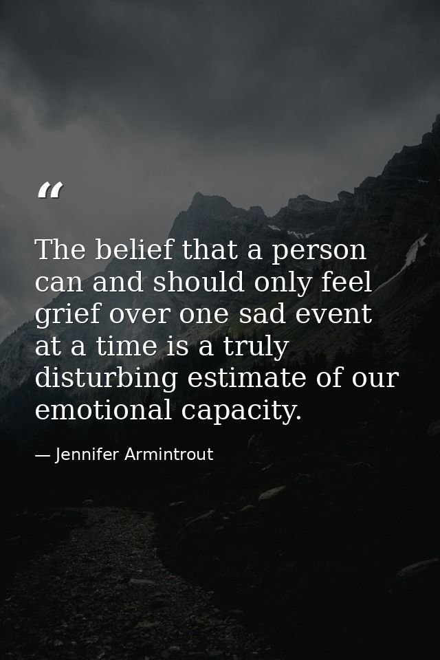 The belief that a person can and should only feel grief over one sad event at a time is a truly disturbing estimate of o — Jennifer Armintrout