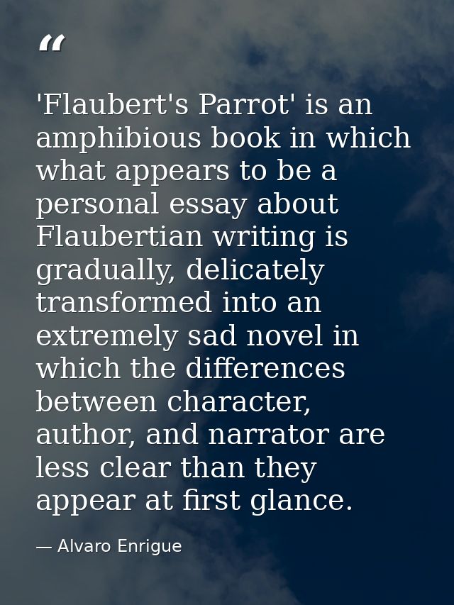 'Flaubert's Parrot' is an amphibious book in which what appears to be a personal essay about Flaubertian writing is grad — Alvaro Enrigue