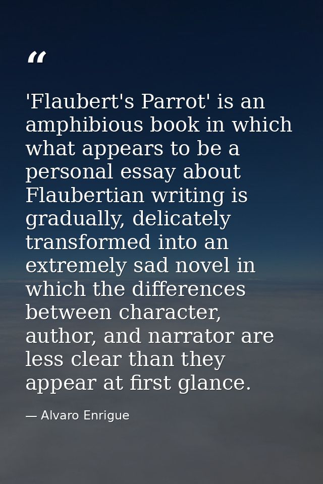 'Flaubert's Parrot' is an amphibious book in which what appears to be a personal essay about Flaubertian writing is grad — Alvaro Enrigue