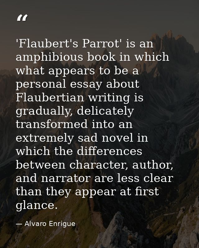 'Flaubert's Parrot' is an amphibious book in which what appears to be a personal essay about Flaubertian writing is grad — Alvaro Enrigue