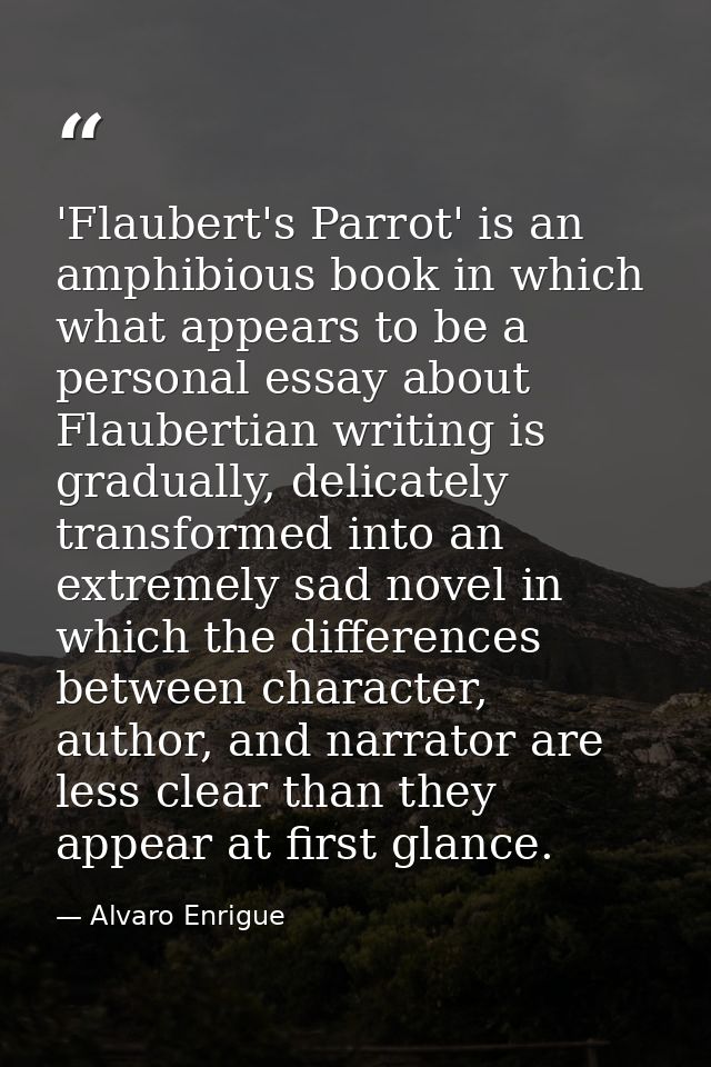 'Flaubert's Parrot' is an amphibious book in which what appears to be a personal essay about Flaubertian writing is grad — Alvaro Enrigue