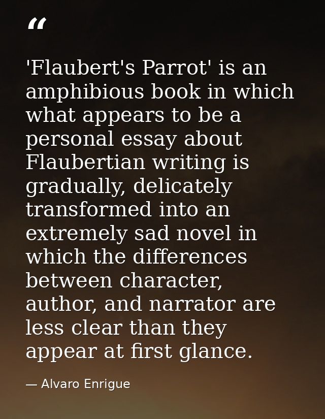 'Flaubert's Parrot' is an amphibious book in which what appears to be a personal essay about Flaubertian writing is grad — Alvaro Enrigue