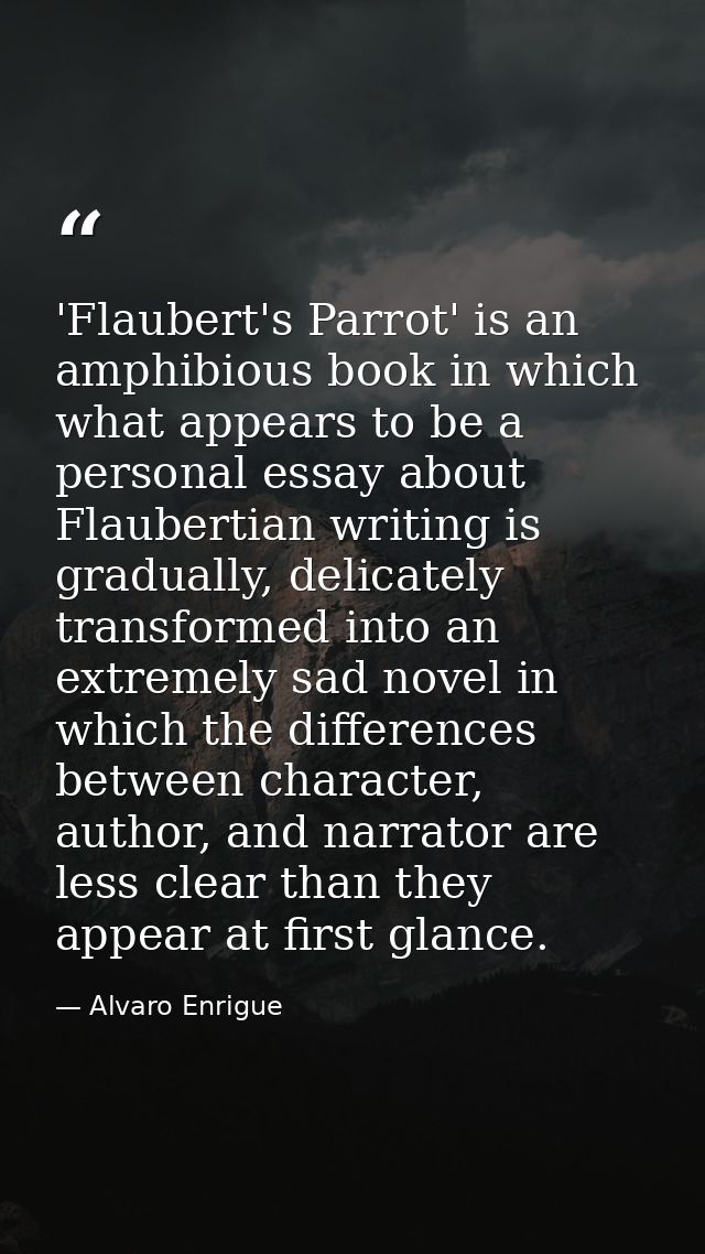 'Flaubert's Parrot' is an amphibious book in which what appears to be a personal essay about Flaubertian writing is grad — Alvaro Enrigue
