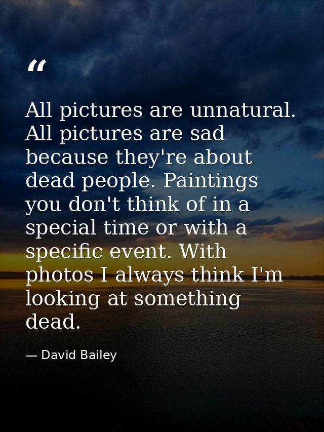 All pictures are unnatural. All pictures are sad because they're about dead people. Paintings you don't think of in a sp — David Bailey