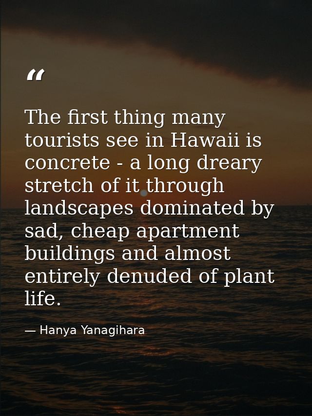 The first thing many tourists see in Hawaii is concrete - a long dreary stretch of it through landscapes dominated by sa — Hanya Yanagihara
