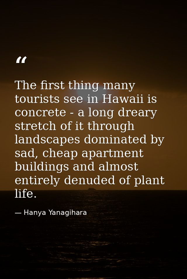 The first thing many tourists see in Hawaii is concrete - a long dreary stretch of it through landscapes dominated by sa — Hanya Yanagihara