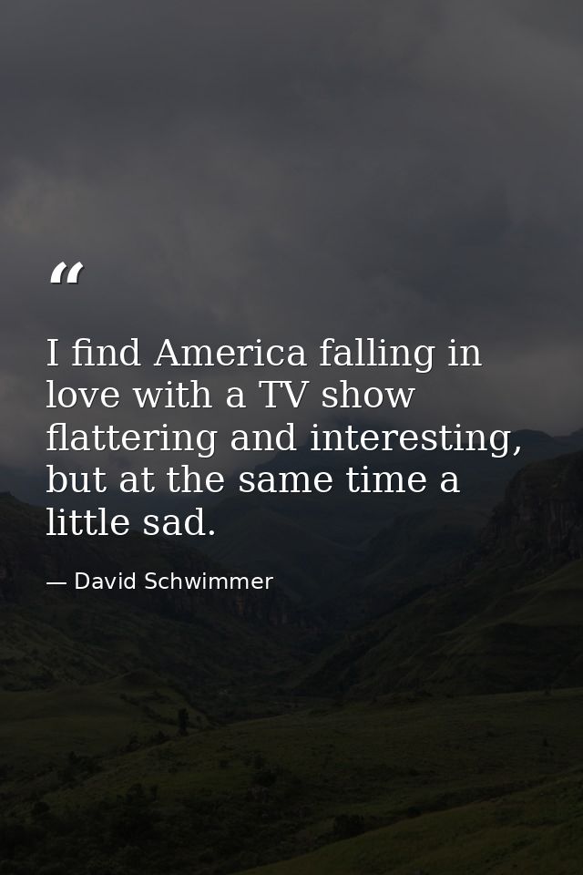 I find America falling in love with a TV show flattering and interesting, but at the same time a little sad. — David Schwimmer