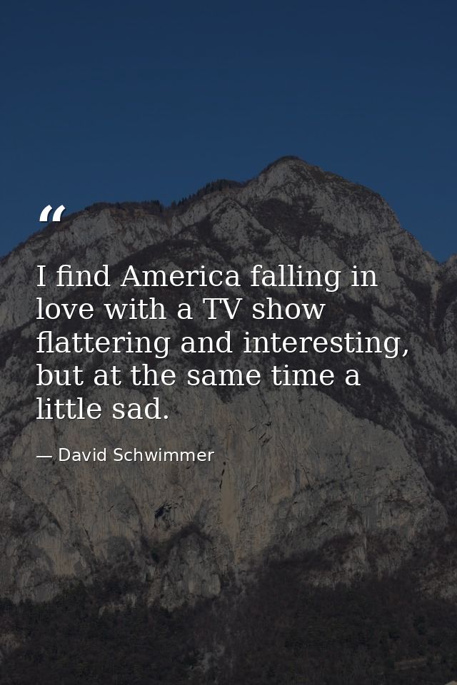 I find America falling in love with a TV show flattering and interesting, but at the same time a little sad. — David Schwimmer