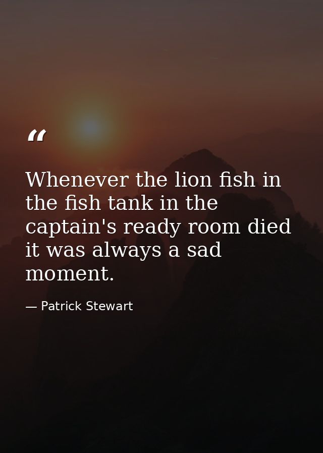 Whenever the lion fish in the fish tank in the captain's ready room died it was always a sad moment. — Patrick Stewart