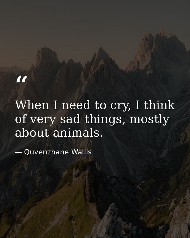When I need to cry, I think of very sad things, mostly about animals. — Quvenzhane Wallis