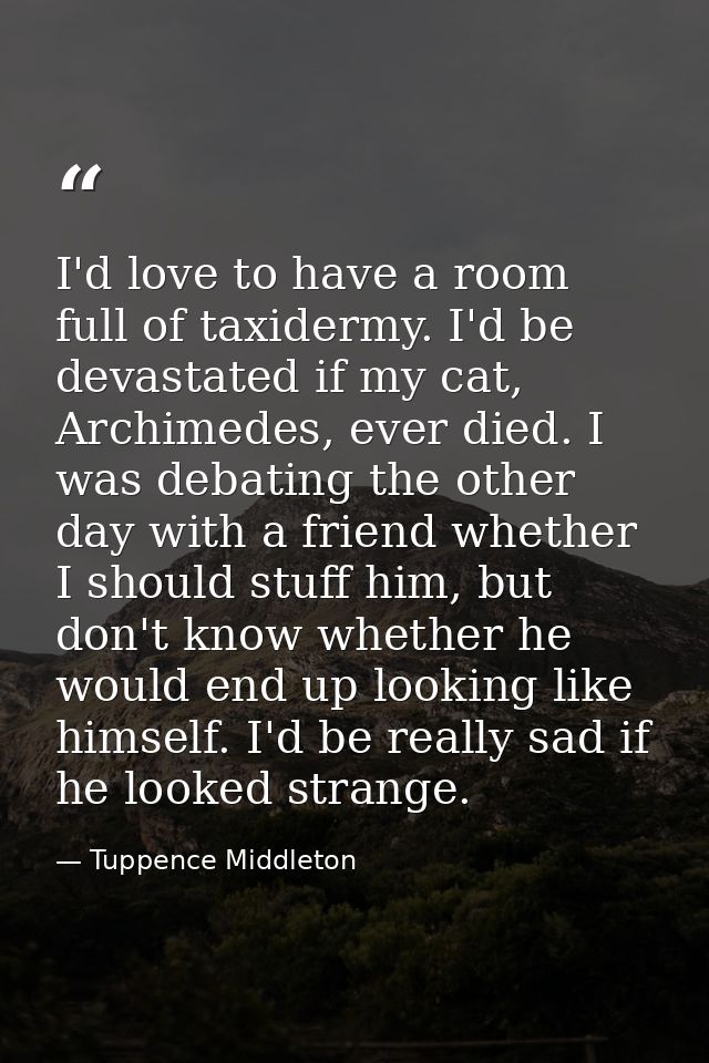 I'd love to have a room full of taxidermy. I'd be devastated if my cat, Archimedes, ever died. I was debating the other  — Tuppence Middleton