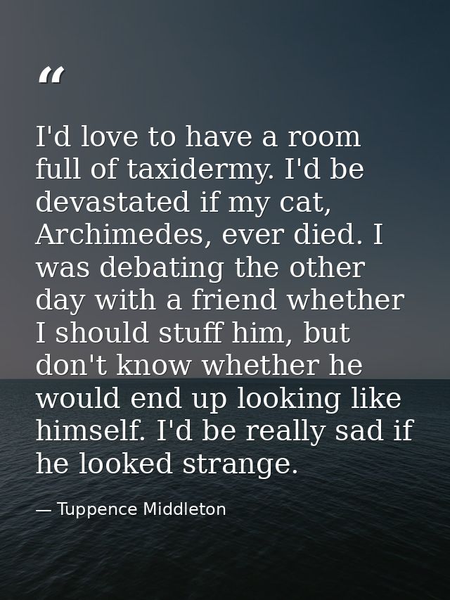 I'd love to have a room full of taxidermy. I'd be devastated if my cat, Archimedes, ever died. I was debating the other  — Tuppence Middleton