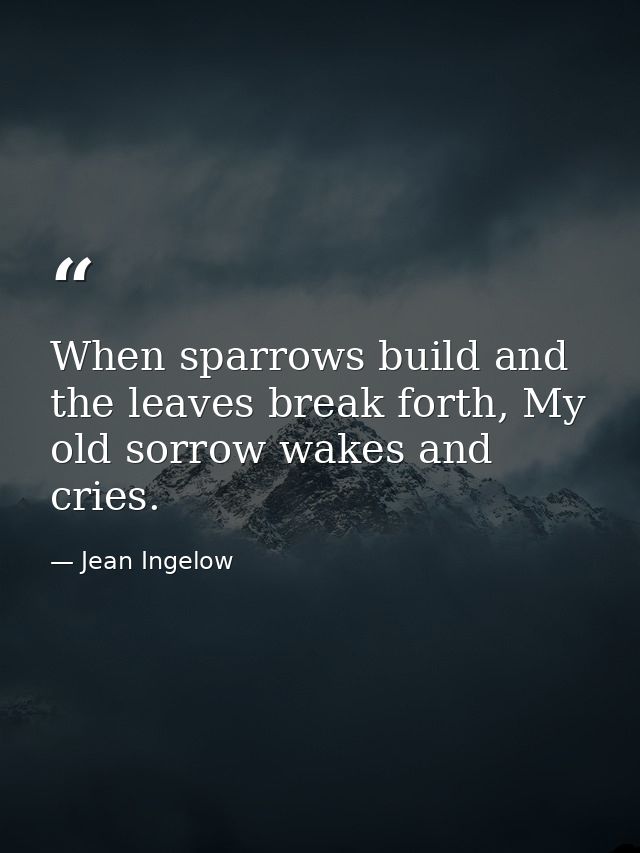 When sparrows build and the leaves break forth, My old sorrow wakes and cries. — Jean Ingelow