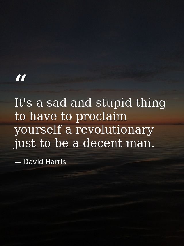 It's a sad and stupid thing to have to proclaim yourself a revolutionary just to be a decent man. — David Harris