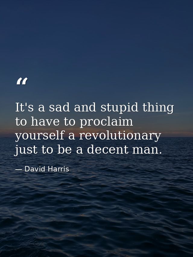 It's a sad and stupid thing to have to proclaim yourself a revolutionary just to be a decent man. — David Harris