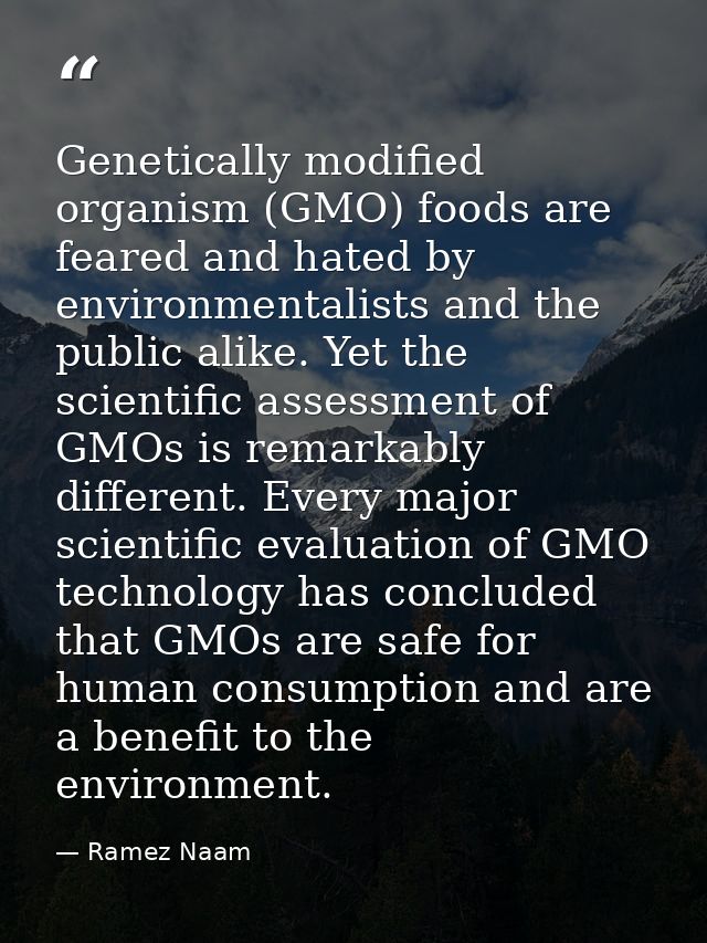 Genetically modified organism (GMO) foods are feared and hated by environmentalists and the public alike. Yet the scient — Ramez Naam