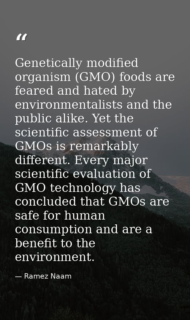 Genetically modified organism (GMO) foods are feared and hated by environmentalists and the public alike. Yet the scient — Ramez Naam