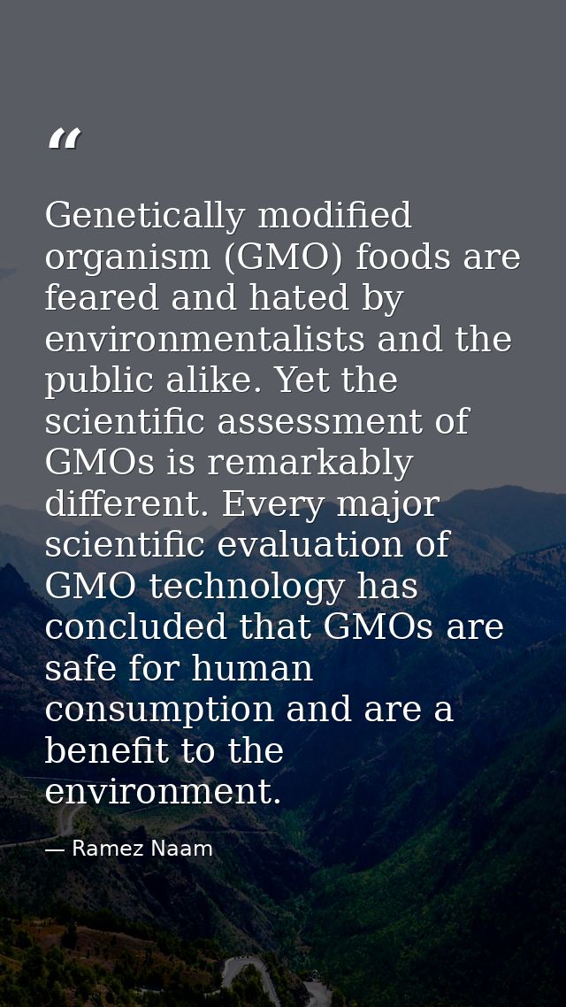 Genetically modified organism (GMO) foods are feared and hated by environmentalists and the public alike. Yet the scient — Ramez Naam
