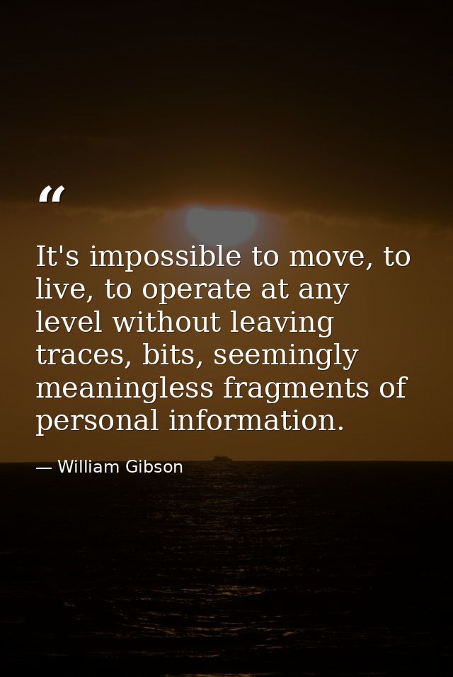 It's impossible to move, to live, to operate at any level without leaving traces, bits, seemingly meaningless fragments  — William Gibson