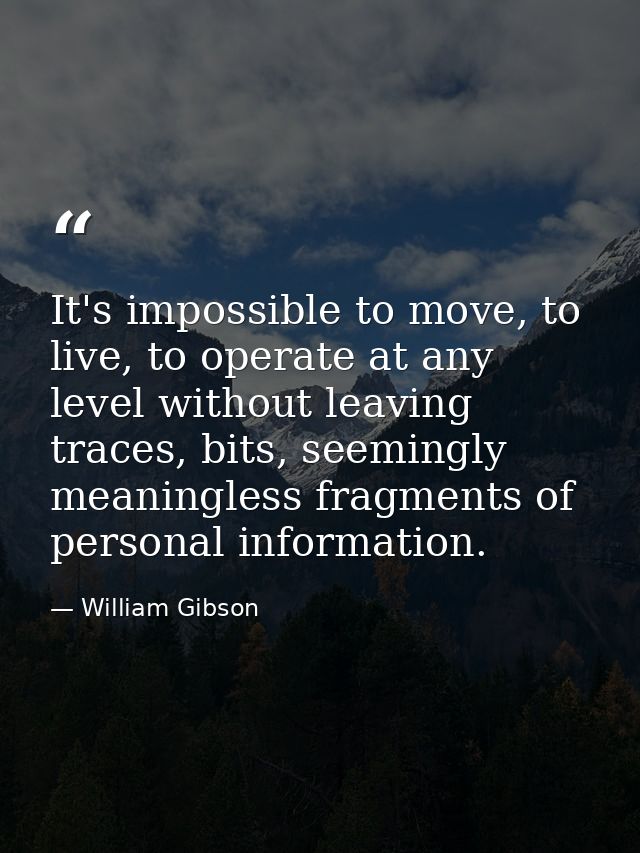 It's impossible to move, to live, to operate at any level without leaving traces, bits, seemingly meaningless fragments  — William Gibson