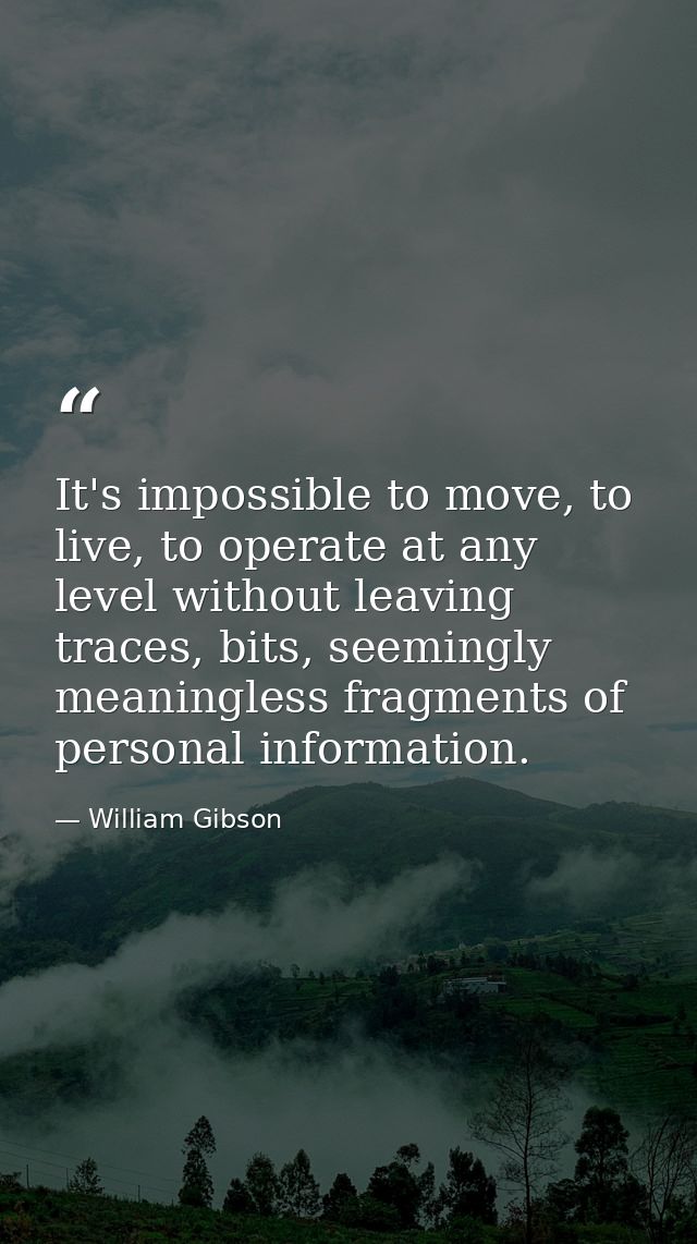 It's impossible to move, to live, to operate at any level without leaving traces, bits, seemingly meaningless fragments  — William Gibson