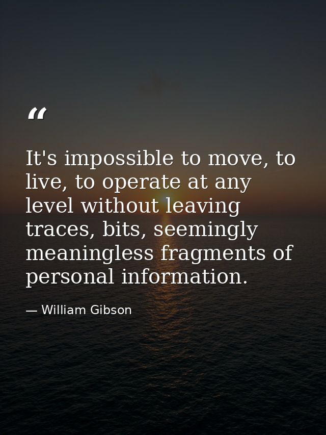 It's impossible to move, to live, to operate at any level without leaving traces, bits, seemingly meaningless fragments  — William Gibson
