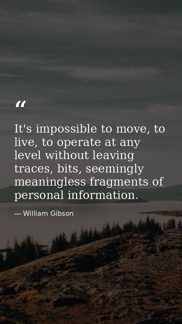 It's impossible to move, to live, to operate at any level without leaving traces, bits, seemingly meaningless fragments  — William Gibson