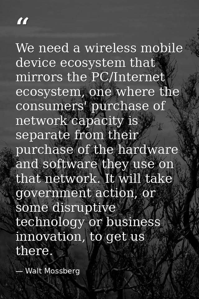 We need a wireless mobile device ecosystem that mirrors the PC/Internet ecosystem, one where the consumers' purchase of  — Walt Mossberg
