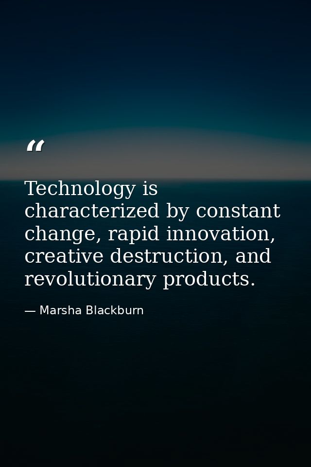 Technology is characterized by constant change, rapid innovation, creative destruction, and revolutionary products. — Marsha Blackburn