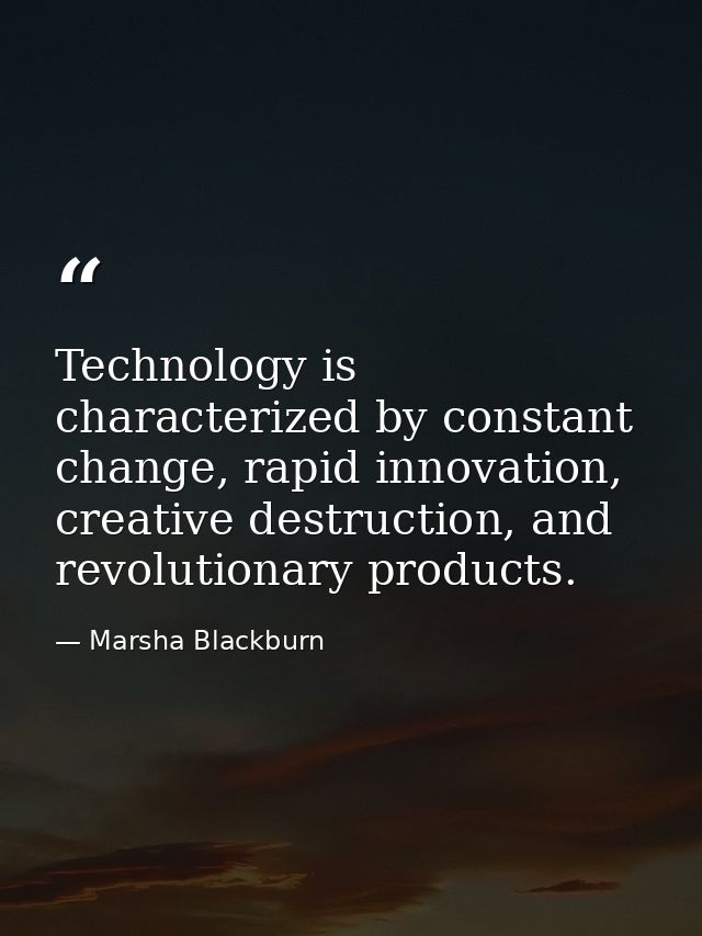Technology is characterized by constant change, rapid innovation, creative destruction, and revolutionary products. — Marsha Blackburn
