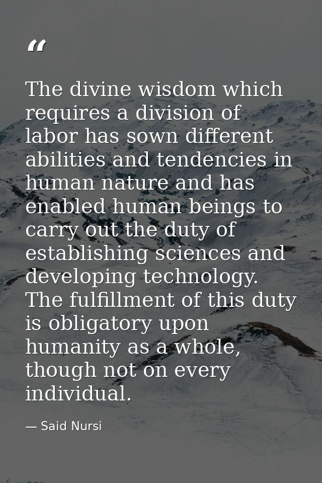 The divine wisdom which requires a division of labor has sown different abilities and tendencies in human nature and has — Said Nursi