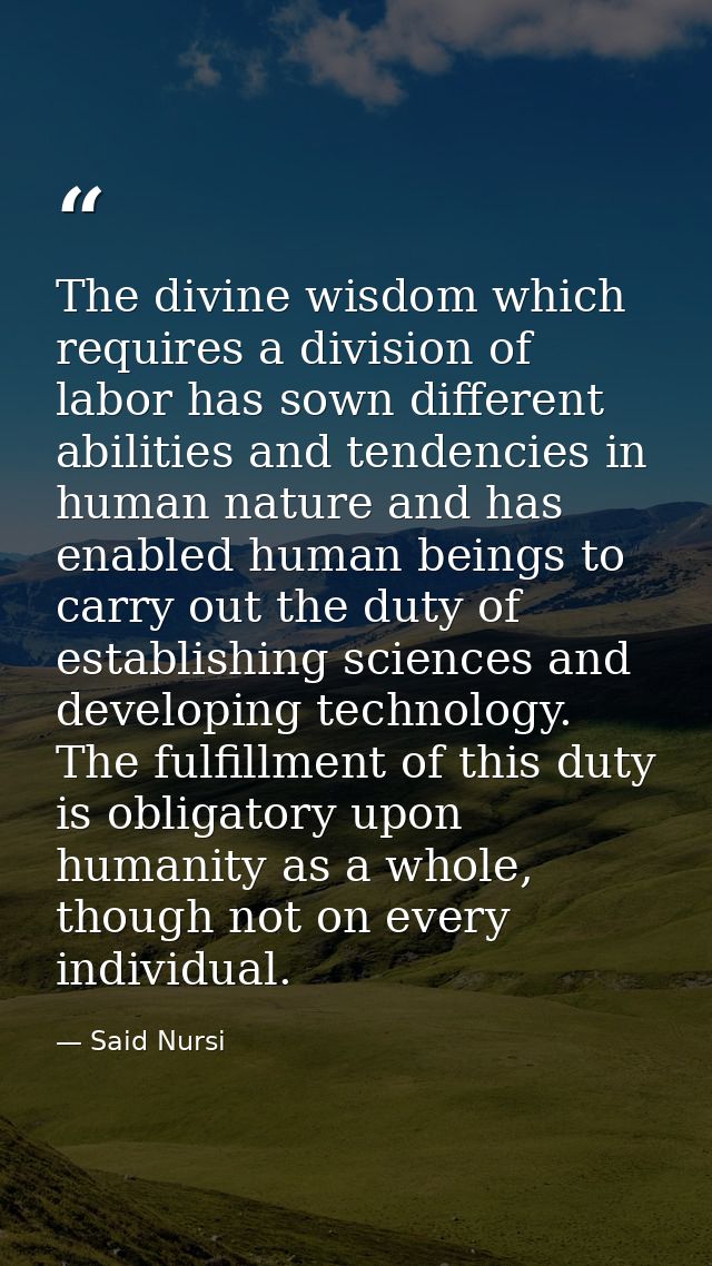 The divine wisdom which requires a division of labor has sown different abilities and tendencies in human nature and has — Said Nursi