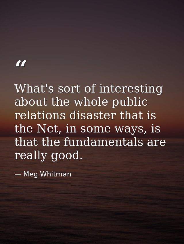 What's sort of interesting about the whole public relations disaster that is the Net, in some ways, is that the fundamen — Meg Whitman