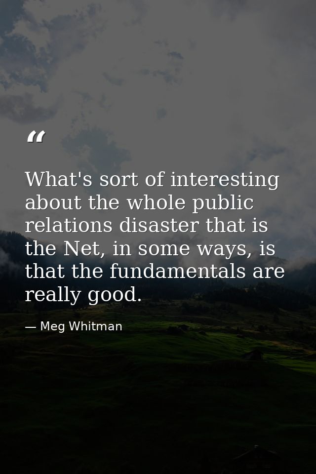 What's sort of interesting about the whole public relations disaster that is the Net, in some ways, is that the fundamen — Meg Whitman