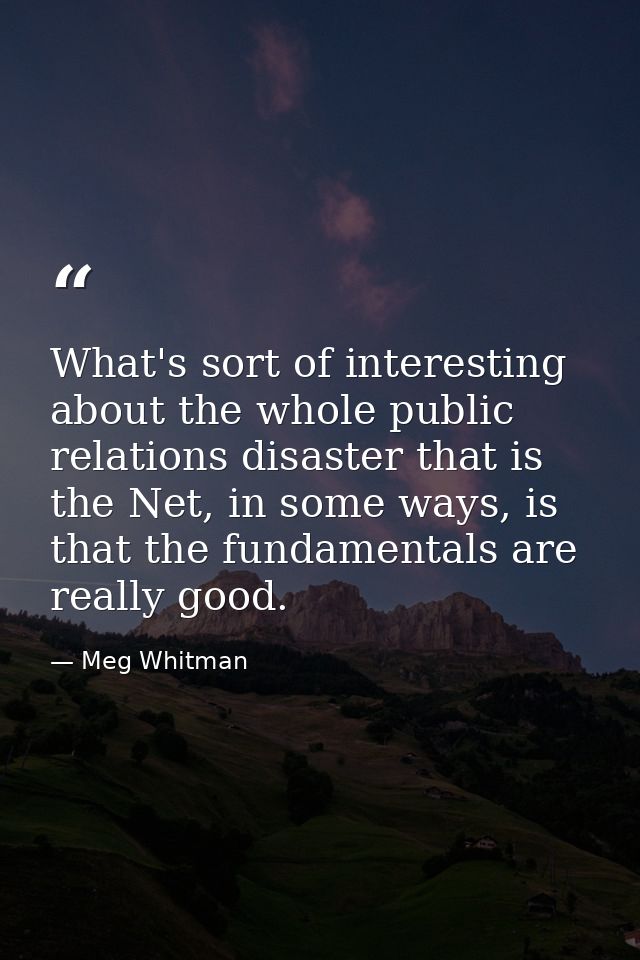 What's sort of interesting about the whole public relations disaster that is the Net, in some ways, is that the fundamen — Meg Whitman