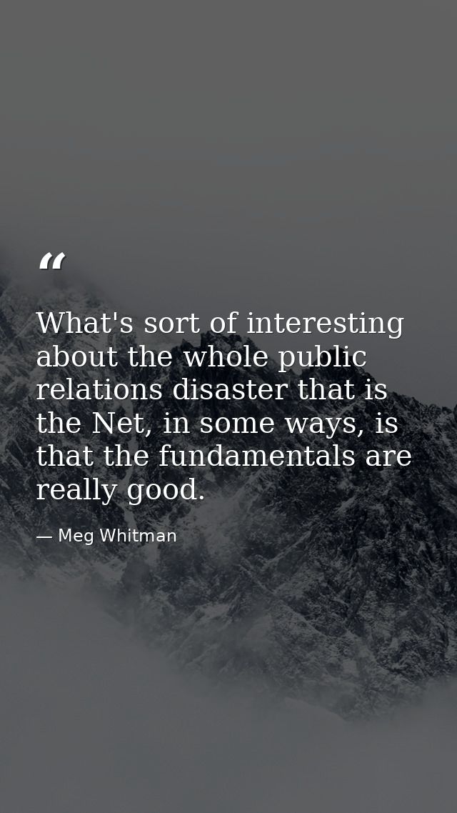 What's sort of interesting about the whole public relations disaster that is the Net, in some ways, is that the fundamen — Meg Whitman