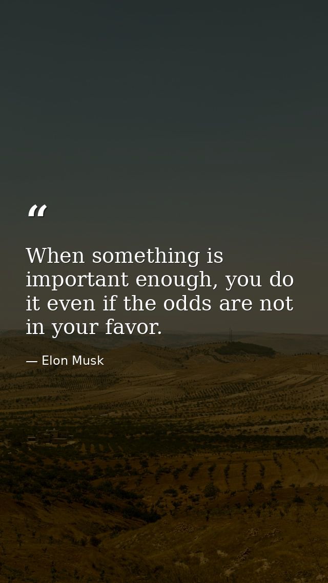 When something is important enough, you do it even if the odds are not in your favor. — Elon Musk