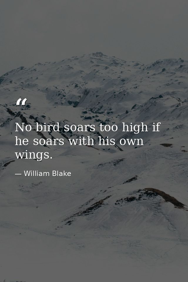 No bird soars too high if he soars with his own wings. — William Blake