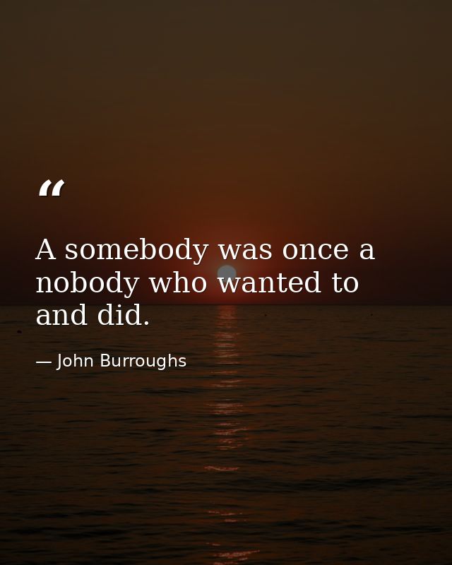 A somebody was once a nobody who wanted to and did. — John Burroughs