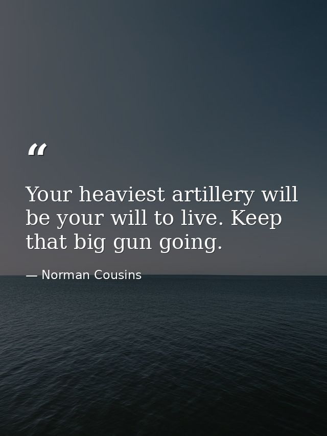 Your heaviest artillery will be your will to live. Keep that big gun going. — Norman Cousins