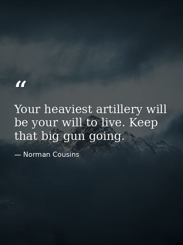Your heaviest artillery will be your will to live. Keep that big gun going. — Norman Cousins