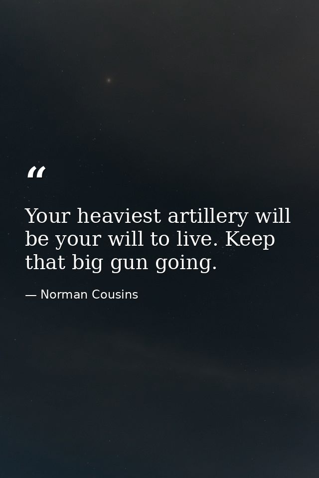 Your heaviest artillery will be your will to live. Keep that big gun going. — Norman Cousins