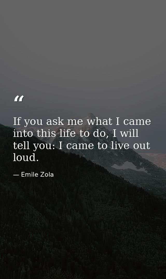 If you ask me what I came into this life to do, I will tell you: I came to live out loud. — Emile Zola