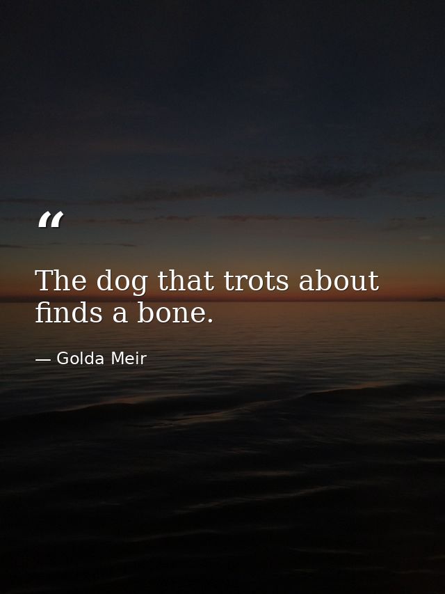 The dog that trots about finds a bone. — Golda Meir