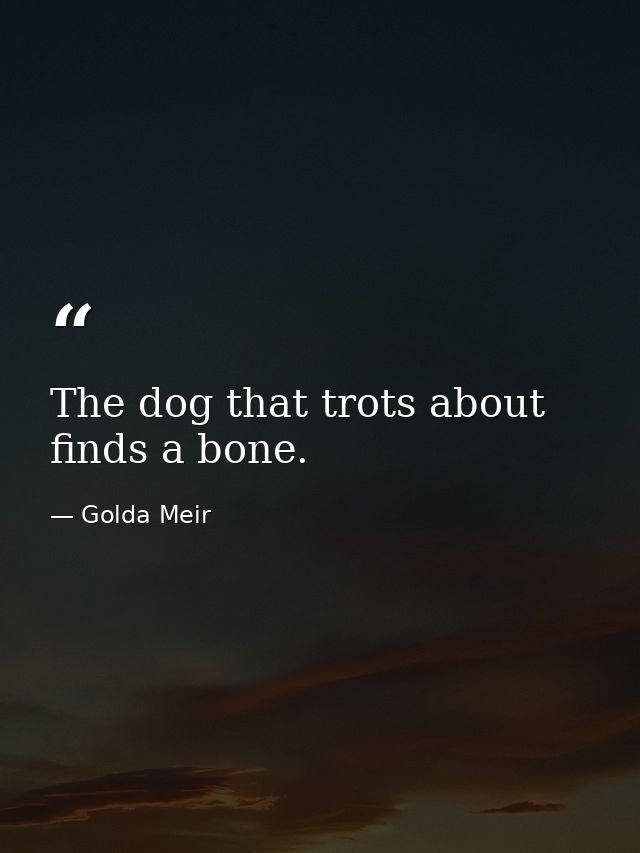 The dog that trots about finds a bone. — Golda Meir