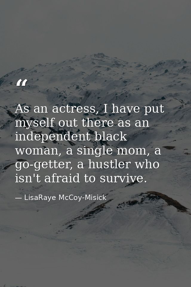 As an actress, I have put myself out there as an independent black woman, a single mom, a go-getter, a hustler who isn't — LisaRaye McCoy-Misick
